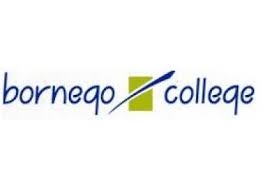 Bornego Junior - Heerenveen logo